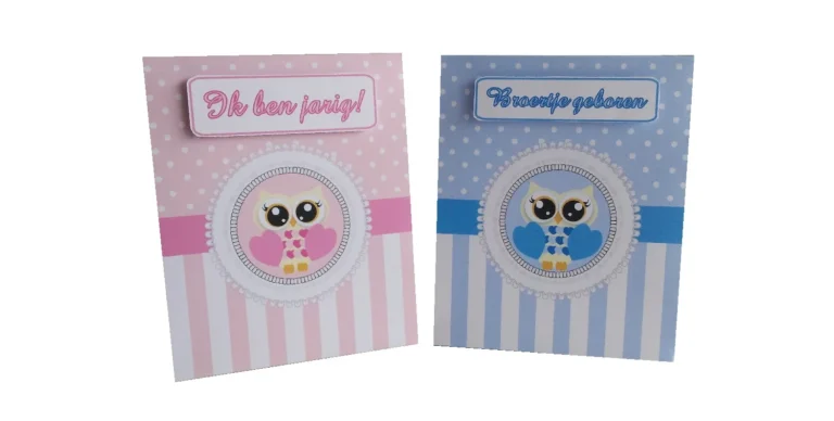 Uil traktatie doosjes in roze en blauw