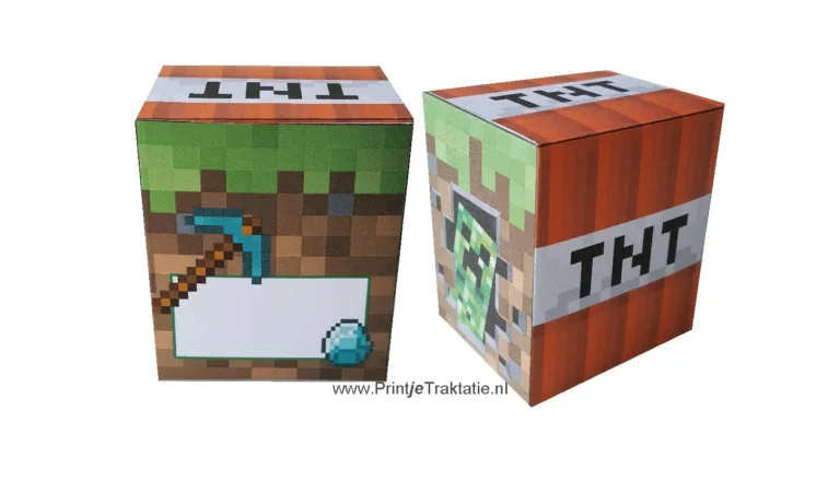Minecraft traktatiedoosjes: een grasblok en een TNT-blok