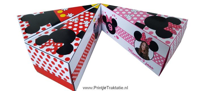 Mickey en Minnie mouse taartpunt